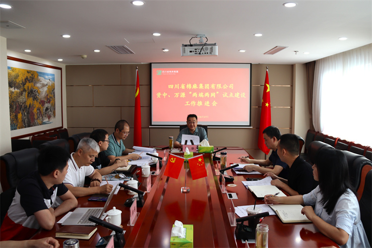 鄧華主持召開資中、萬源“兩端兩網(wǎng)”試點建設(shè)工作推進(jìn)會