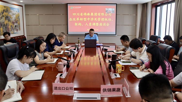集團公司召開在改革轉(zhuǎn)型中涉及管理板塊、架構(gòu)、人員調(diào)整座談會